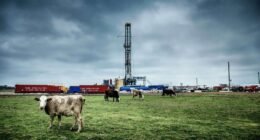 Petrochemical products