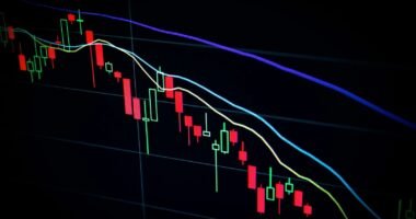Financial Market