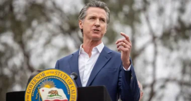 Gavin Newsom said the bill could stifle innovation and prompt AI firms to move out of California