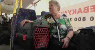 As invading Russian forces near Pokrovsk, Maria and her cats have finally decided to leave