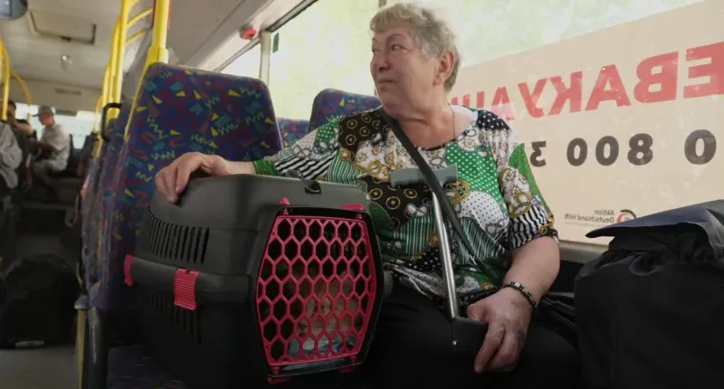 As invading Russian forces near Pokrovsk, Maria and her cats have finally decided to leave
