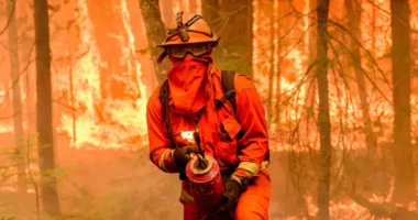 Climate change is leading to more of the type of weather conditions that risk wildfires