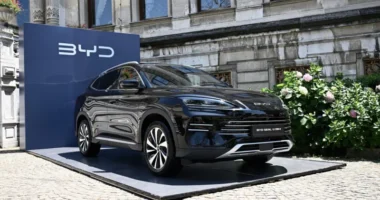 BYD's revenue jumped 24% as government subsidies give China's car industry a boost