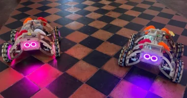 Crawlybots are four-wheeled flexible robots with large LED eyes which can display animal characteristics