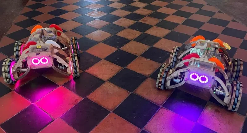 Crawlybots are four-wheeled flexible robots with large LED eyes which can display animal characteristics
