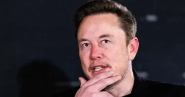 Elon Musk has waded into UK affairs a lot lately