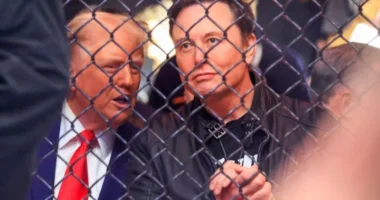 Donald Trump and Elon Musk have defended the visa programme