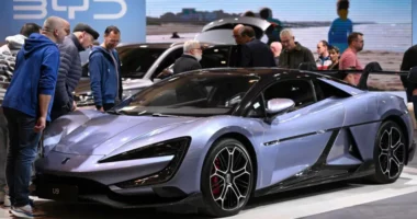 The Chinese EV maker saw record sales in December