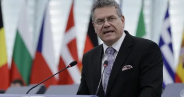 The new EU trade chief says a new customs area could be up for discussion in reset talks later this year.