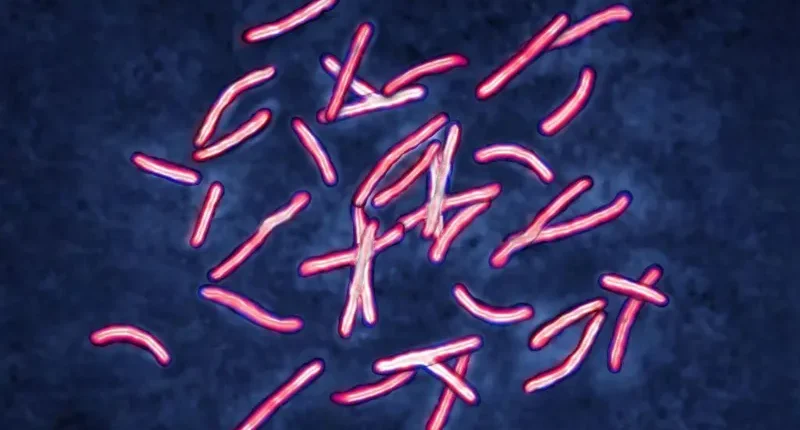 Cases of tuberculosis (pictured) have increased in the UK and worldwide as the disease increases its resistance to antibiotics