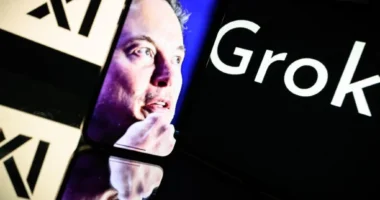 Musk has described Grok as the "most fun AI in the world!"