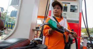 India's biofuel drive is saving billions but also sparking worries