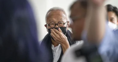 F1 tycoon pleads guilty