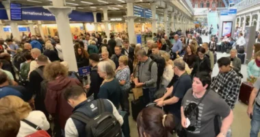 How will the EU's new border system work?
