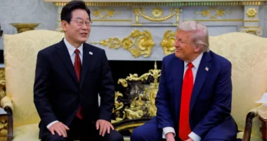 Firms will hesitate to invest in US after raid - S Korea president