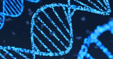AI model from Google's DeepMind reads recipe for life in DNA