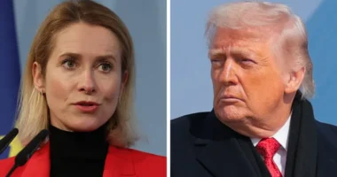 Trump says he will '100%' carry out Greenland tariffs threat, as EU vows to protect its interests
