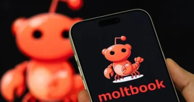 What is the 'social media network for AI' Moltbook?